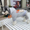Cat Fierce Pup Hoodie