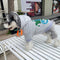 Graphic Swag Doggo Hoodie
