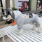 Graphic Super Pup Hoodie