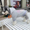 Script Viral Pup Hoodie