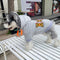 Tiger Deluxe Pup Hoodie