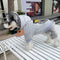 Heart Sauce Pup Hoodie