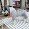 Graphic Fly Dog Hoodie