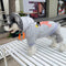 Graphic Lit Puppy Hoodie