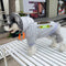 Graphic Trend Pup Hoodie