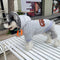 Mouse Royal Pup Hoodie