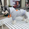 Graphic Swag Dog Hoodie