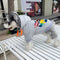 Graphic Swag Puppy Hoodie
