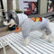Mouse Premium Pup Hoodie