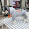 Graphic Vibe Doggo Hoodie