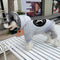 Graphic Bold Puppy Hoodie