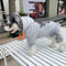Graphic Plush Pup Hoodie