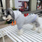 Berry Print Dog Hoodie