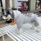 Graphic Deluxe Dog Hoodie