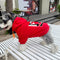 Graphic Fierce Puppy Hoodie