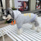 Letter Super Pup Hoodie