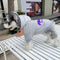 Letter Deluxe Pup Hoodie