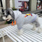Floral Pop Pup Hoodie