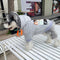 Graphic Steez Pup Hoodie