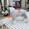 Letter Pop Pup Hoodie