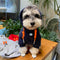 Graphic Glam Dog Hoodie