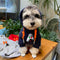 Pup Print Dog Hoodie
