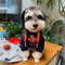 Graphic Snug Canine Hoodie