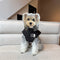 Monogramtrek Vest Dog