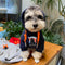 Girl Slay Pup Hoodie
