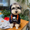 Graphic Sauce Puppy Hoodie