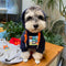 Eyes Print Dog Hoodie