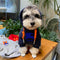 Graphic Cozy Puppy Hoodie