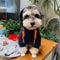 Letter Fly Pup Hoodie
