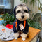 Girl Elite Pup Hoodie