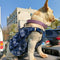 Explorer Tactical Dog Vest