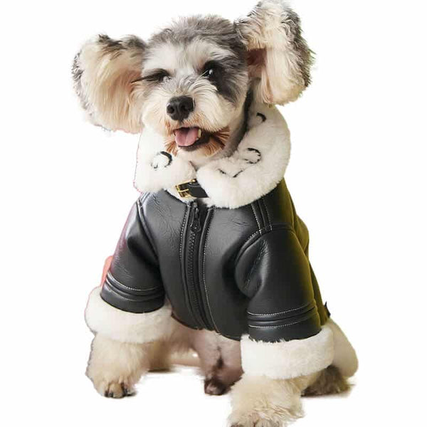 Black Leather Dog Posh Coat
