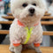 Luxury Dog Fashion Hot Jacket