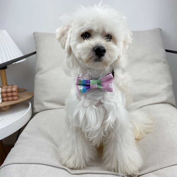 Doggy Lux Offbeat Tie
