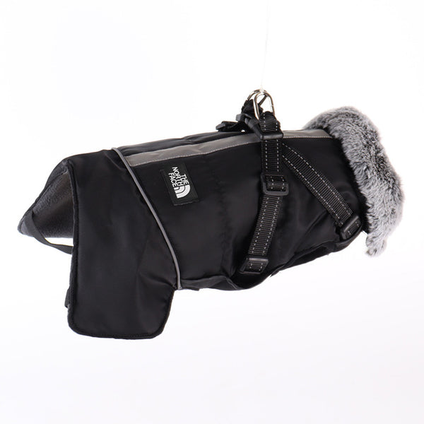 Winter Dog Sketchy Jacket