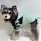 🧥 Big Dog Lightweight Jacket