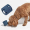 Dear Doggo Hours Of Fun Tennis Tumble Dog LitToy
