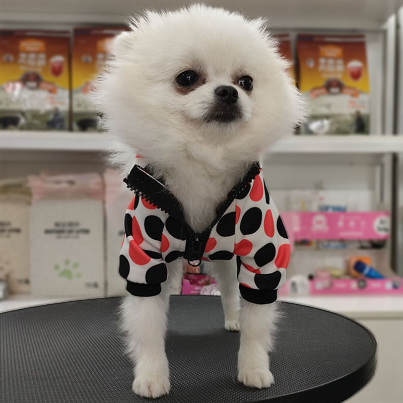 All you need to know about buying dog clothing online