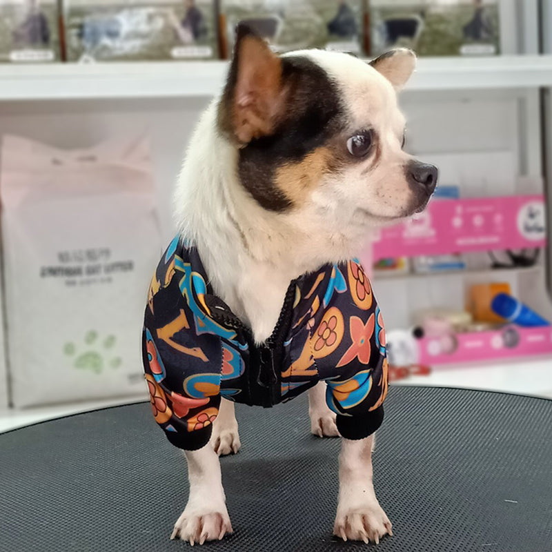 Do Dogs Like Wearing Clothes?