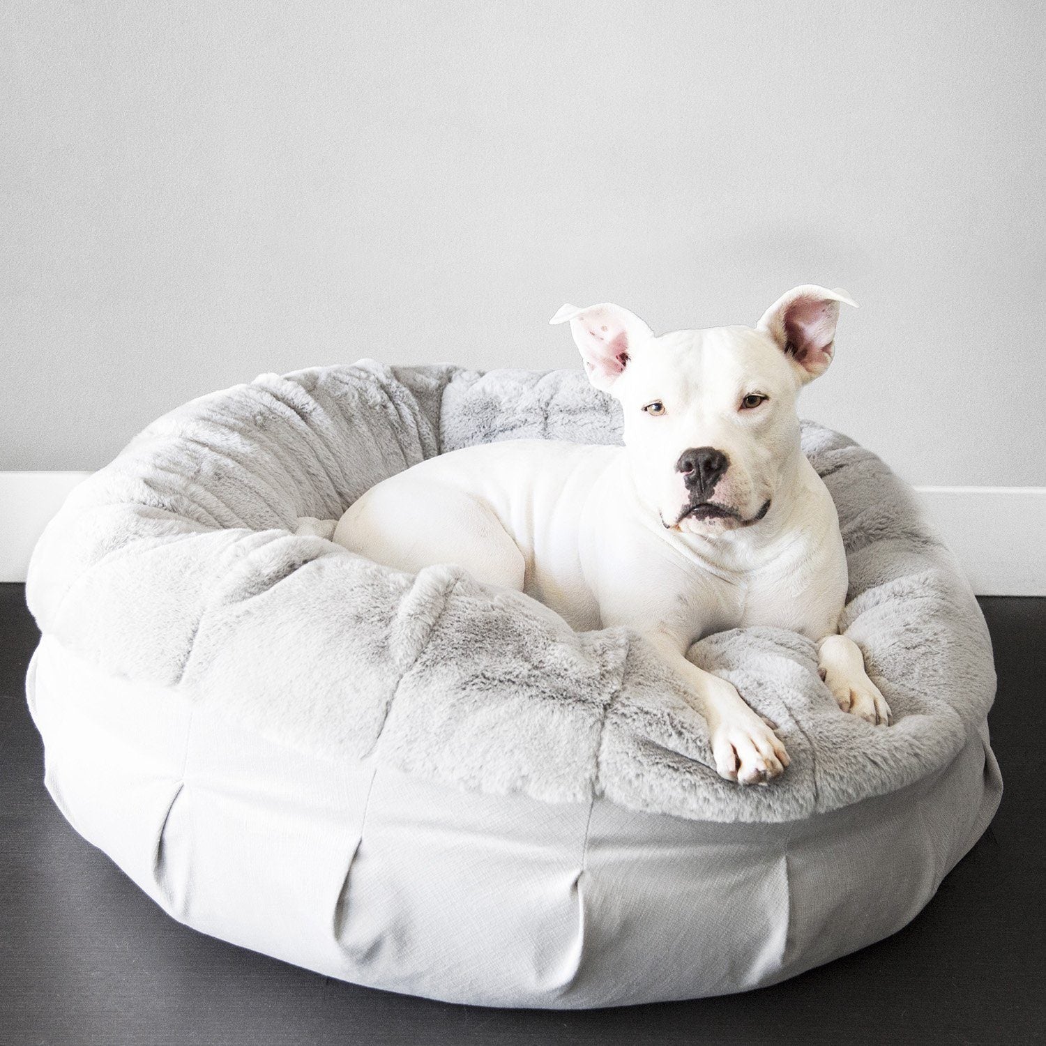 Luxury Doggy Beds