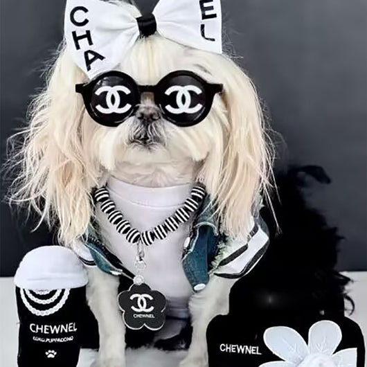 Runway Canine Couture: CC Logo DD Sunglasses