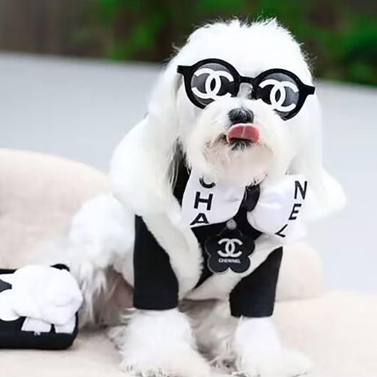Runway Canine Couture: CC Logo DD Sunglasses