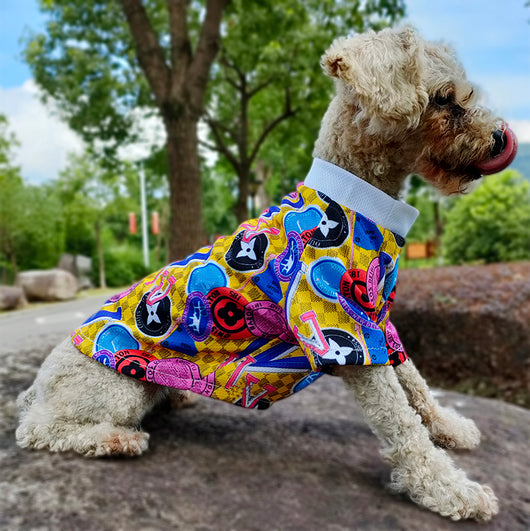 LV Doggo Colorful Abstract Sweatshirt