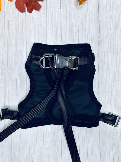 Prada Harness & Leash OG Set