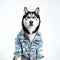 PAWSMOMENT Acid Wash Denim Trucker