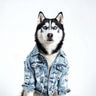 PAWSMOMENT Acid Wash Denim Trucker